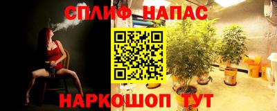 mdpv Краснодар